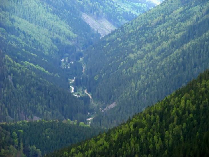 Осмолода з panoramio.com (ч.2) - Осмолода
