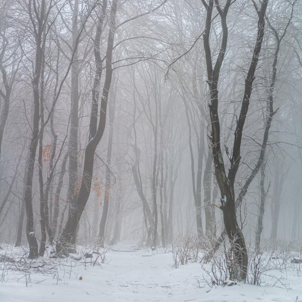 Старе Село з panoramio.com - Старое Село