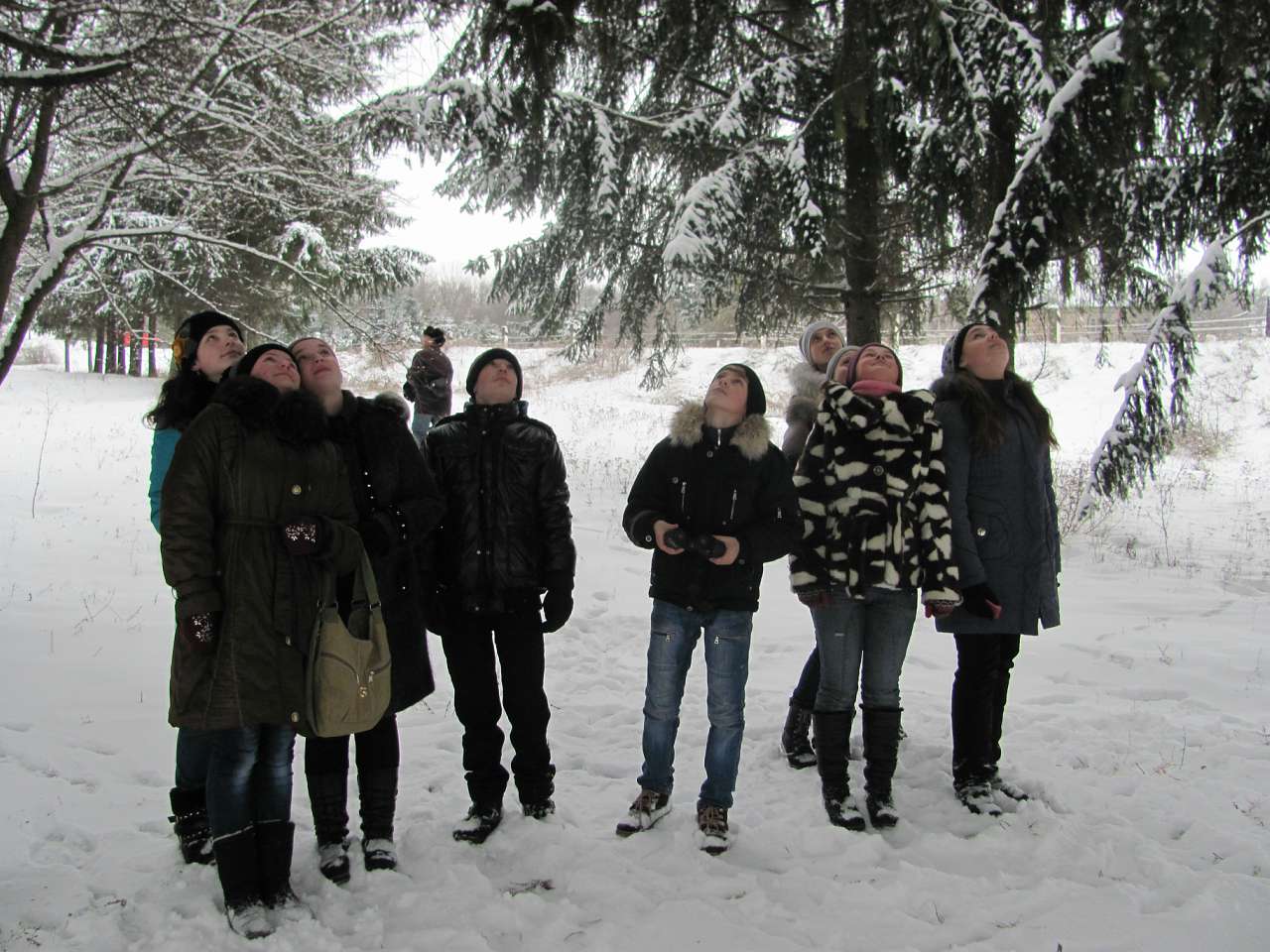 школа - Личківці