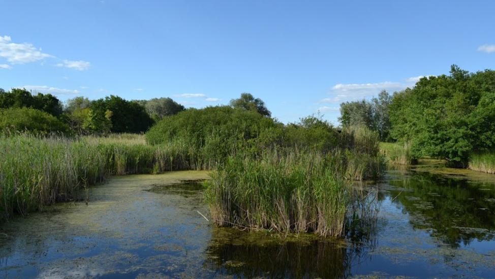 Мала Перещепина з panoramio.com - Мала Перещепина