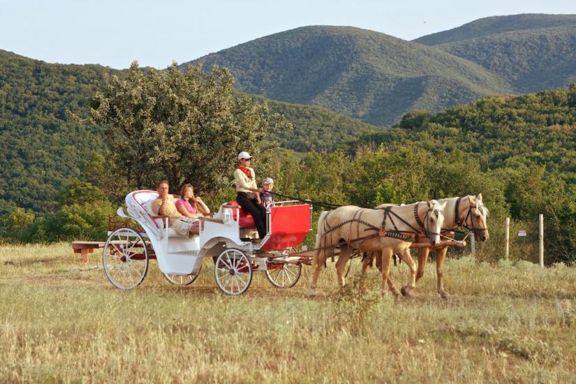 Ізюмівка з panoramio.com - Ізюмівка