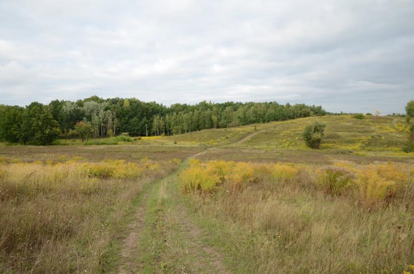 Лісники з panoramio.com - Лесники