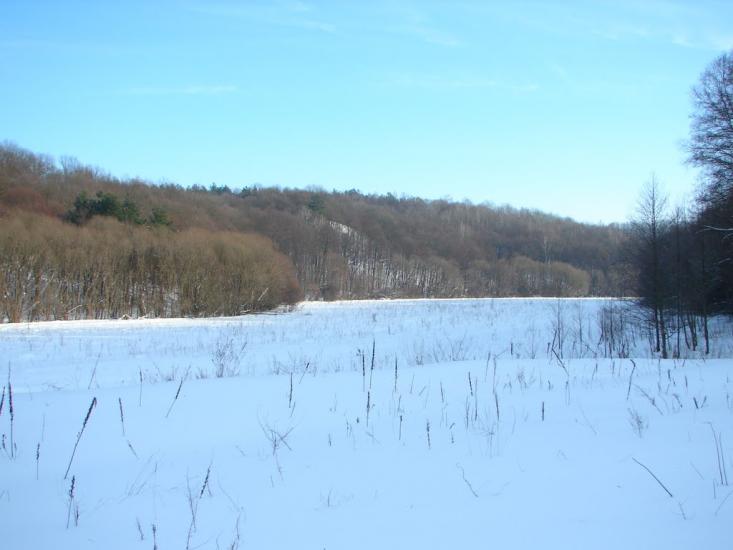Мохначі з panoramio.com - Мохначі
