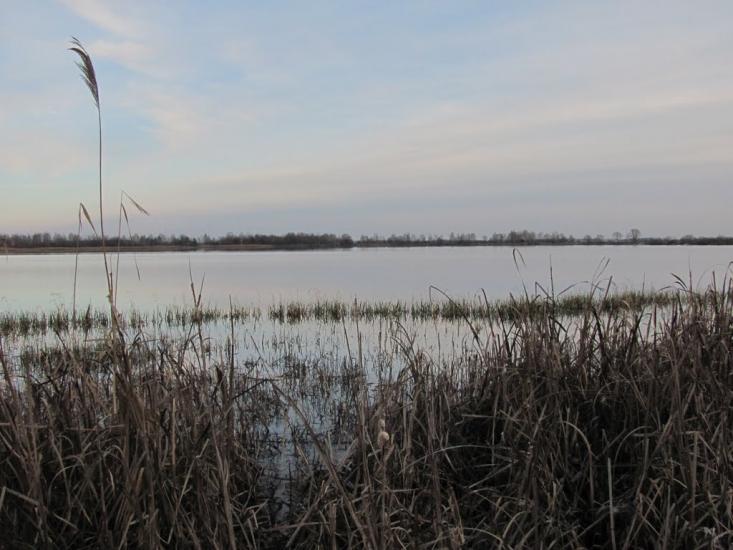 Городня з panoramio.com - Городня