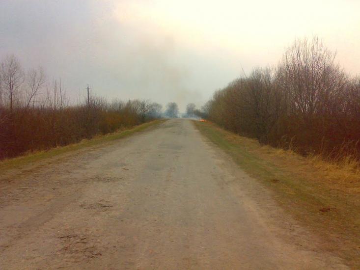 Модестівка з panoramio.com - Модестівка