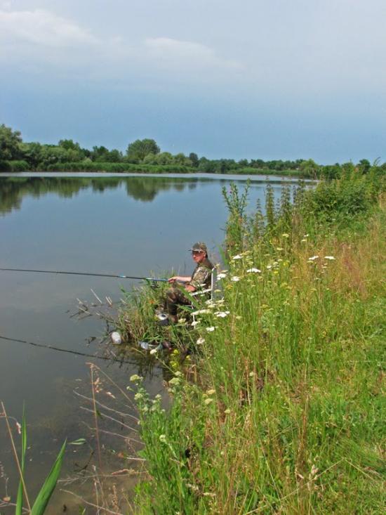 Андріївка з panoramio.com - Andriyivka