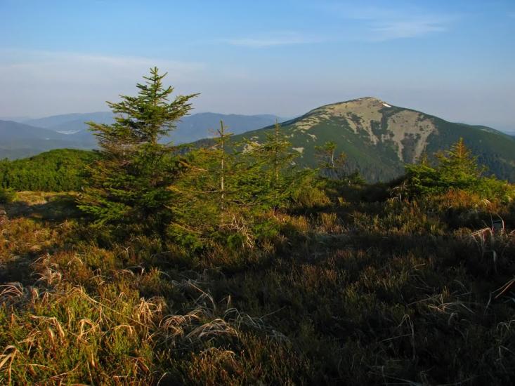 Осмолода з panoramio.com (ч.2) - Осмолода