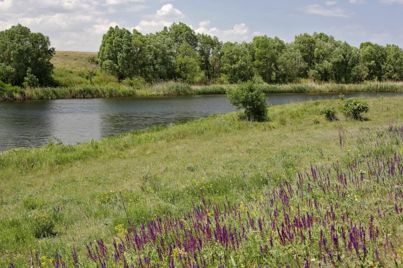Фрунзе з panoramio.com - Фрунзе