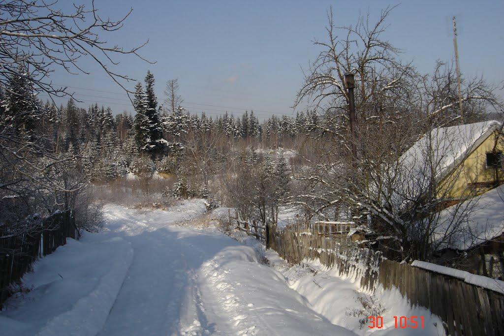 Делятин з panoramio.com - Делятин