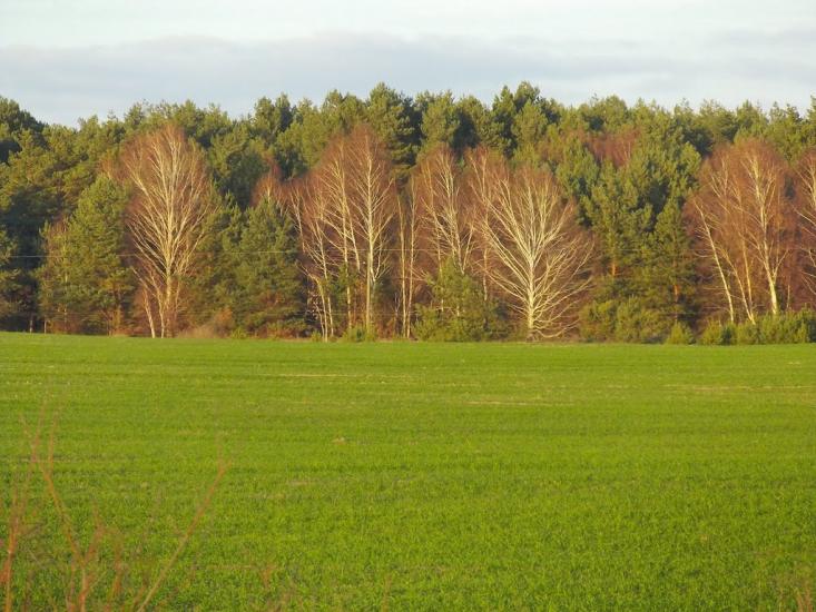 Мощена з panoramio.com - Мощена