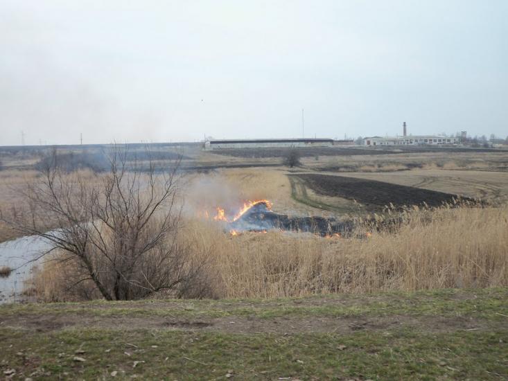 Михайлівка з panoramio.com - Михайлівка