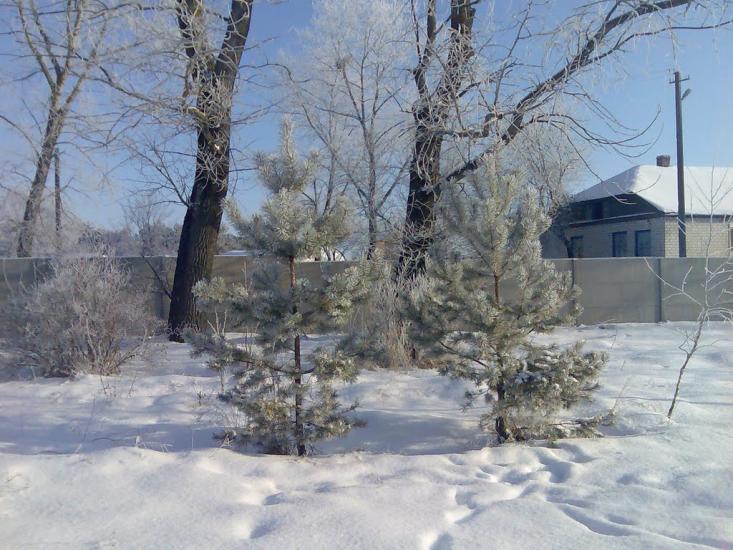 Крехаїв з panoramio.com - Крехаїв