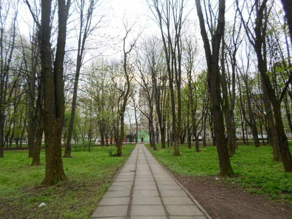 парки - Стрый