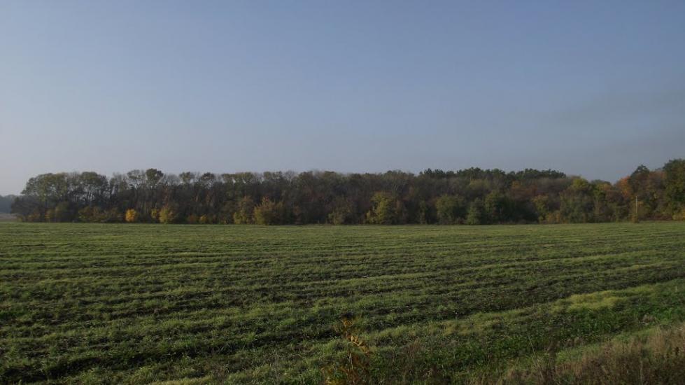 Рясне з panoramio.com - Рясне