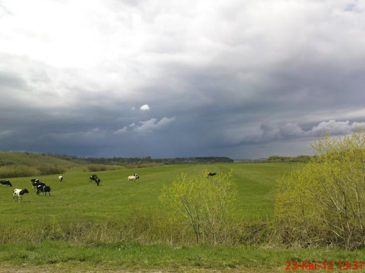 Вариводки з panoramio.com - Вариводки