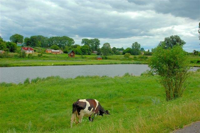 Білосток з panoramio.com - Bilostok