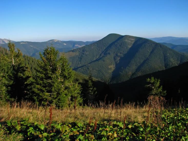 Осмолода з panoramio.com (ч.2) - Осмолода