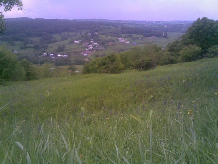 Молодія з panoramio.com - Молодія