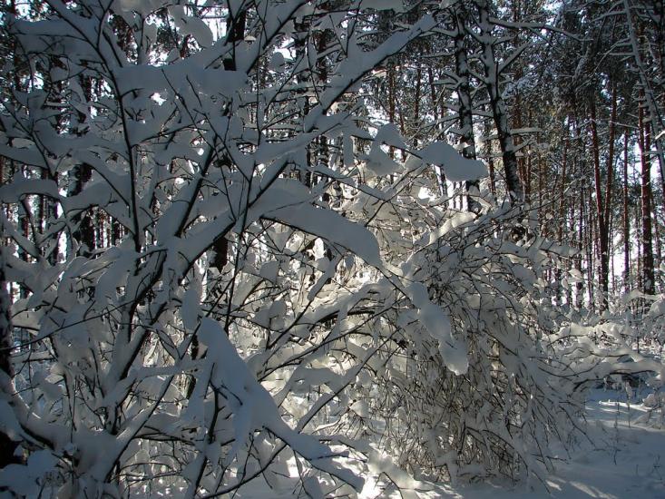 Авдіївка з panoramio.com - Авдіївка
