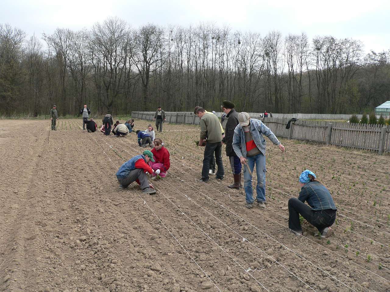 школа - Городниця
