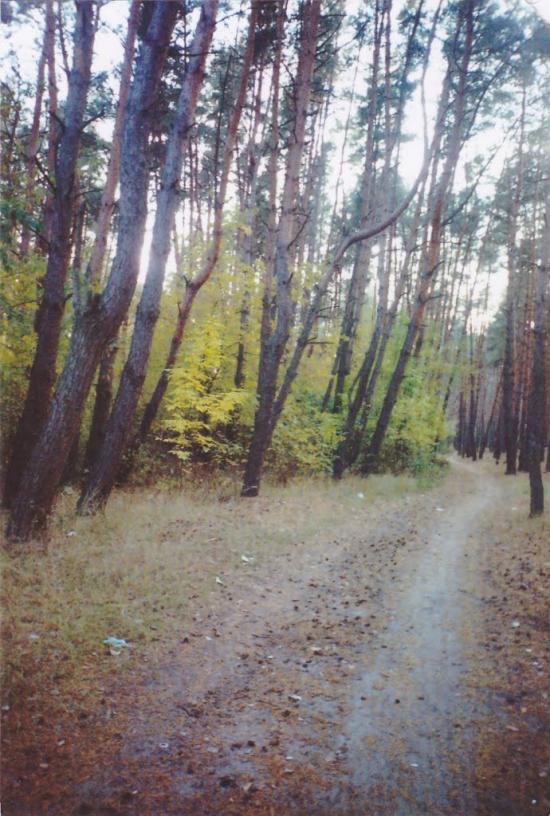 Жовтневе з panoramio.com - Жовтневе