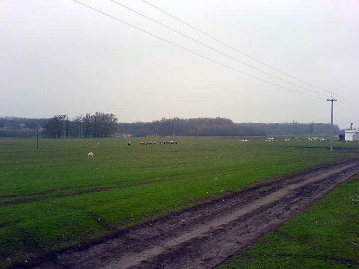 Агрономія з panoramio.com - Агрономія