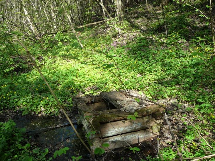 Кам'янка з panoramio.com - Каменка