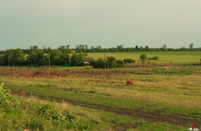 Раухівка з panoramio.com - Рауховка