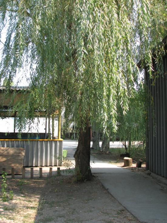 Ковське з panoramio.com - Ковское