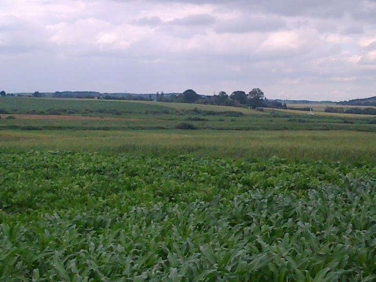 Сатиїв з panoramio.com - Сатыев