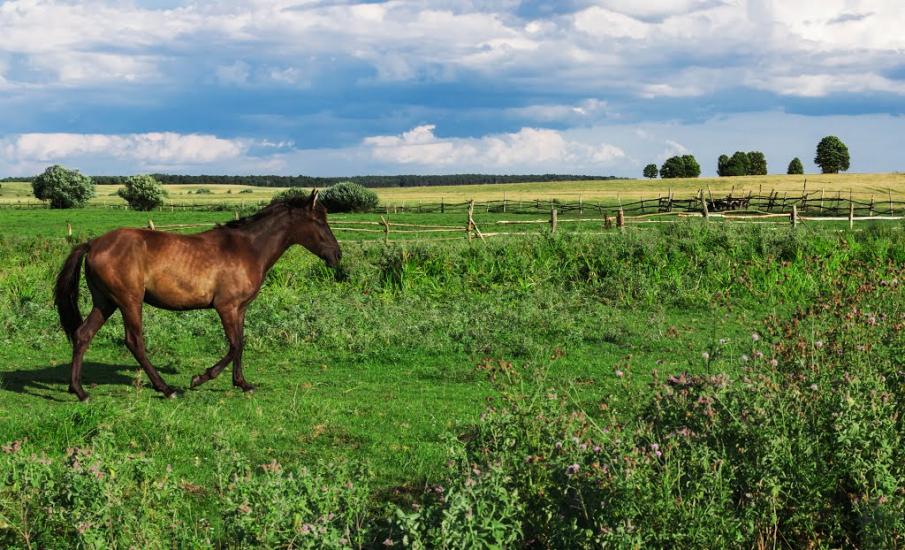 Юрівка з panoramio.com - Юрівка