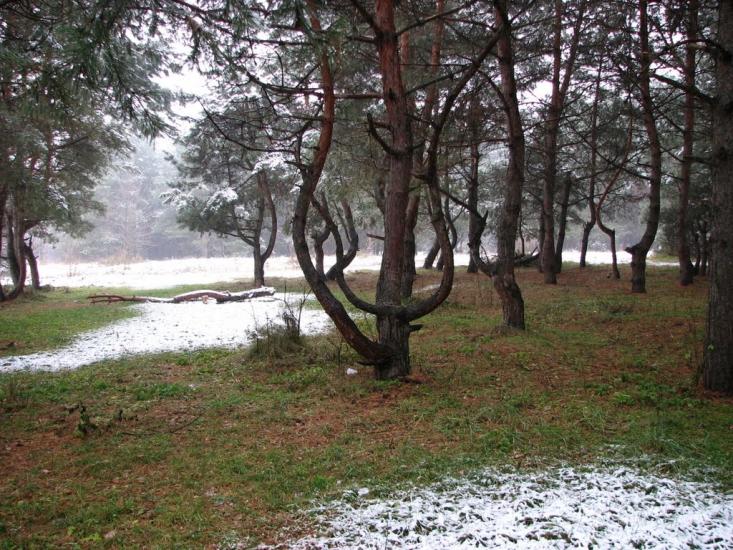 Калинівка з panoramio.com - Калинівка