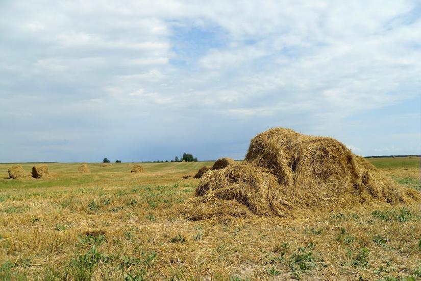 Гончарівське з panoramio.com - Goncharivske
