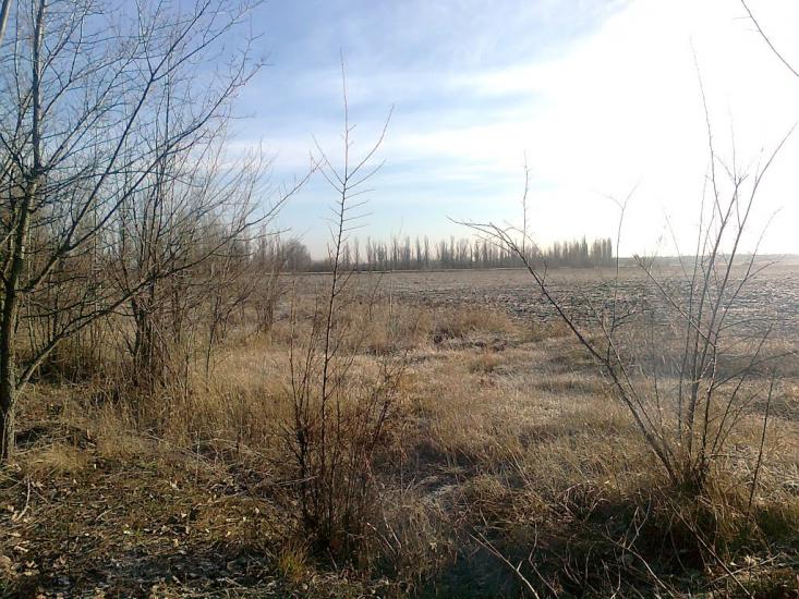 Кутузівка з panoramio.com - Кутузівка