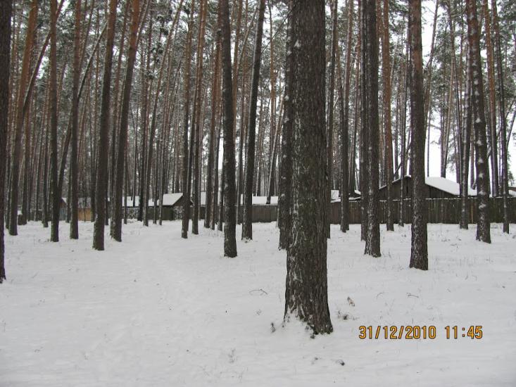 Гончарівське з panoramio.com - Goncharivske