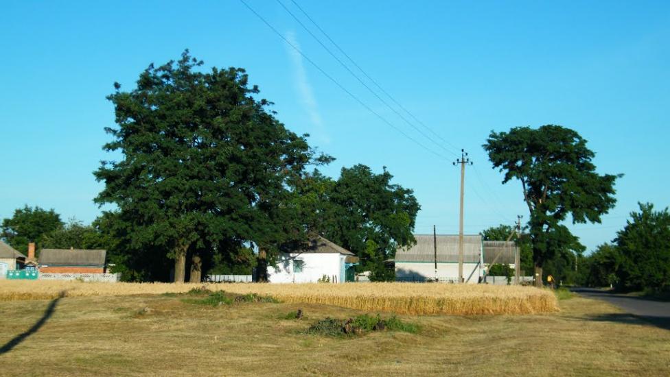 Вільна Терешківка з panoramio.com - Вільна Терешківка