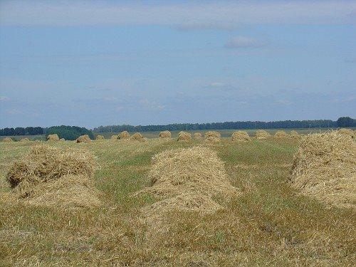 Іванків з panoramio.com - Іванків