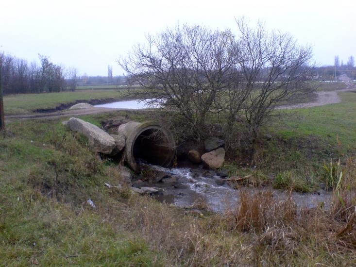 Агрономія з panoramio.com - Агрономія
