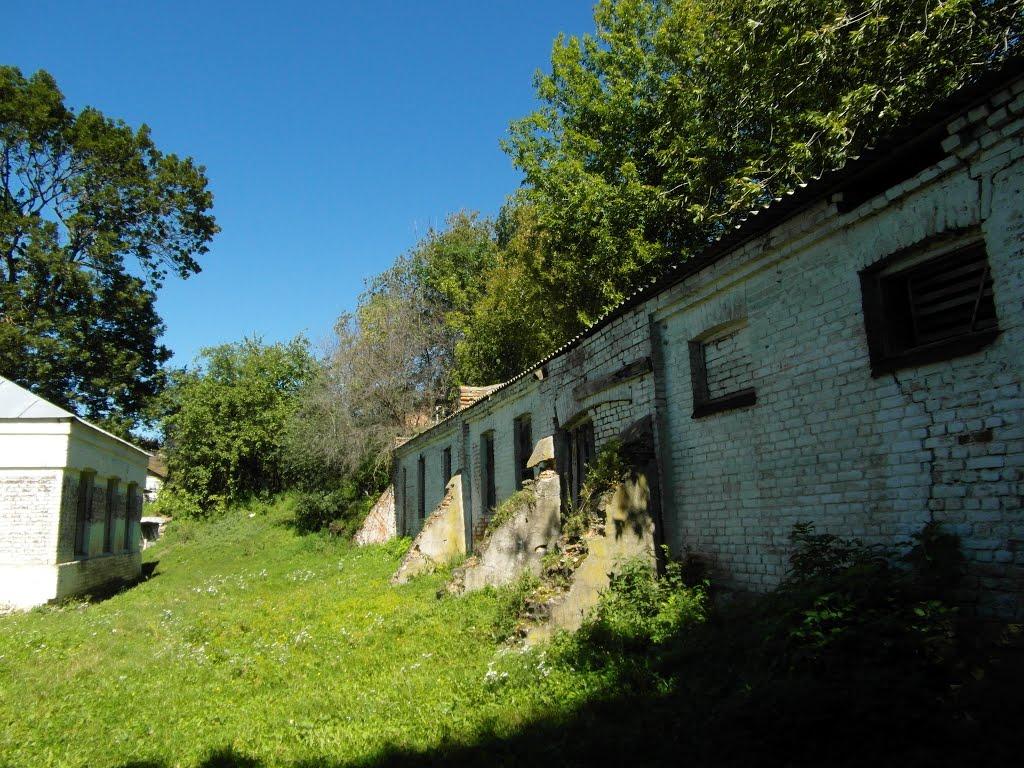 Тарноруда з panoramio.com - Tarnoruda