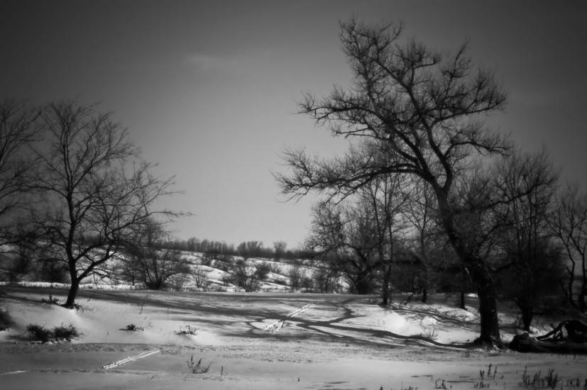 Слов'яносербськ з panoramio.com - Славяносербск