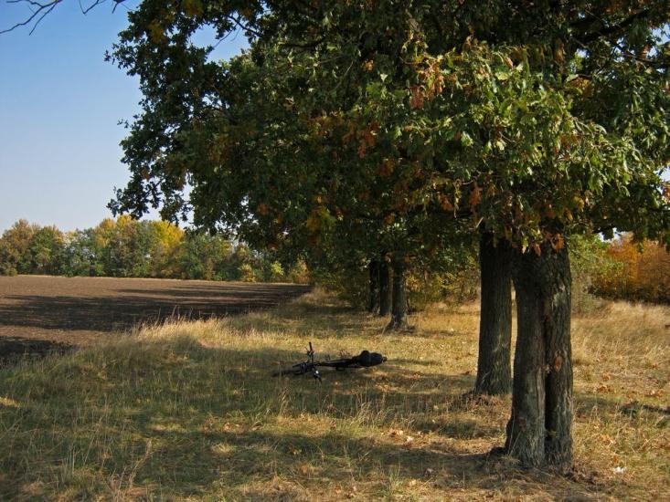 Красіне з panoramio.com - Красіне