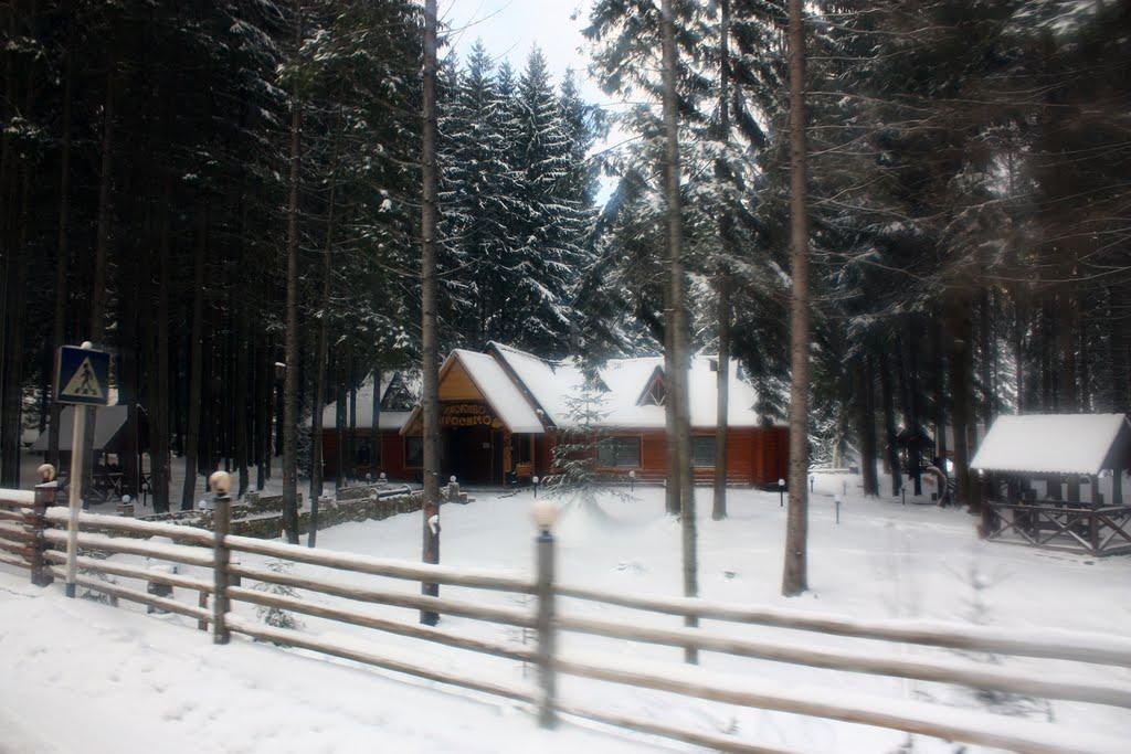 Вороненко з panoramio.com - Voronenko