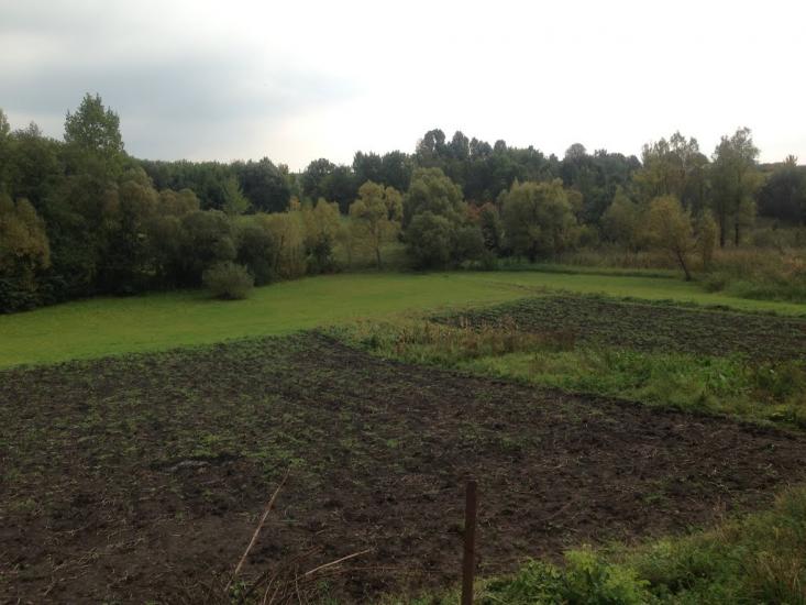 Тишевичі з panoramio.com - Тишевичі