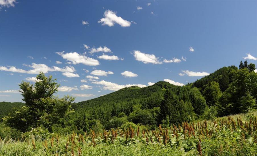 Лопушна з panoramio.com - Лопушна