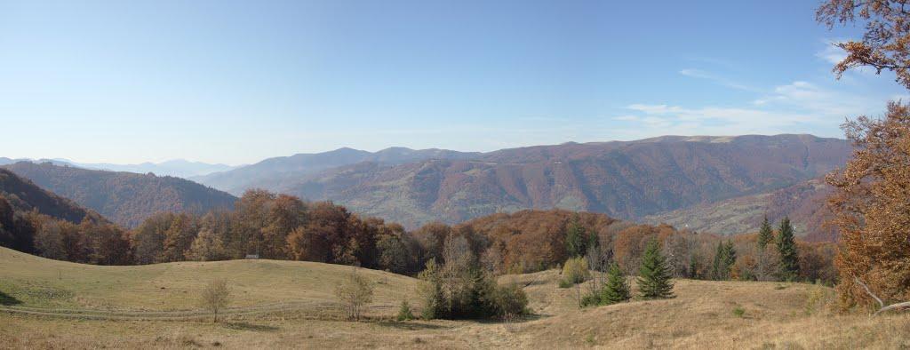Кваси з panoramio.com - Kvasy