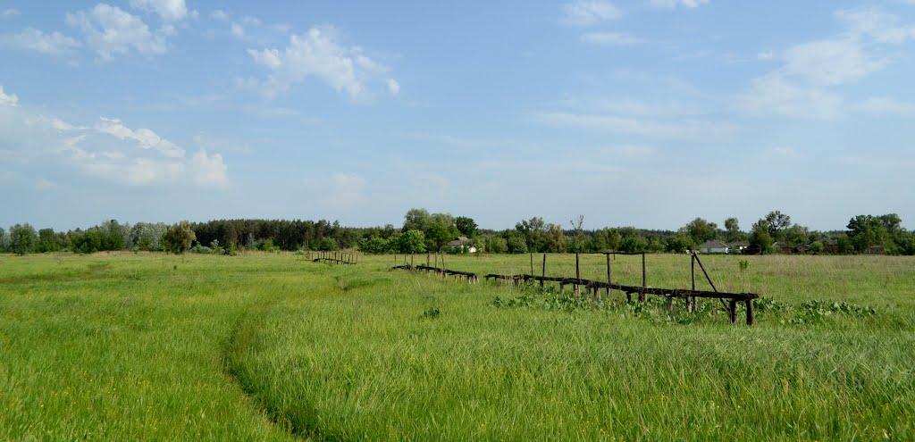 Писарівка з panoramio.com - Писарівка