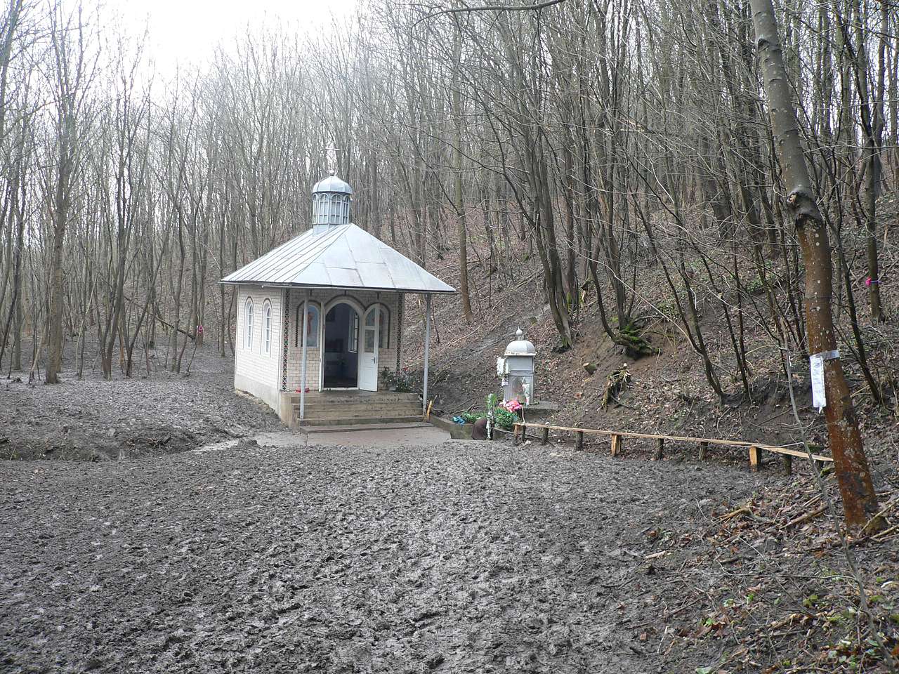 Личківці - Личківці