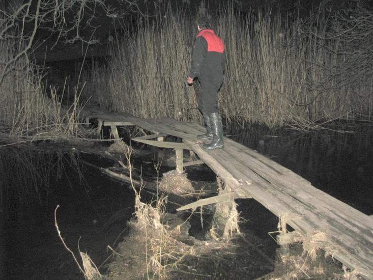 В'язівок з panoramio.com - В'язівок