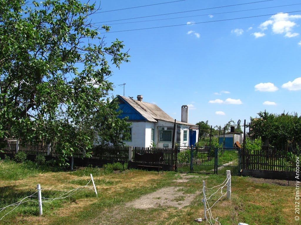 Рози Люксембург з panoramio.com - Гречани Поды