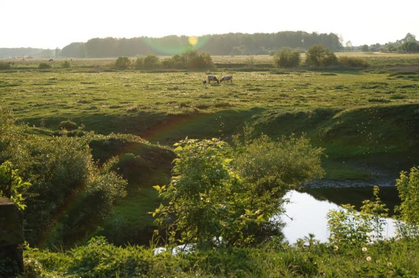 Вербівці з panoramio.com - Вербівці